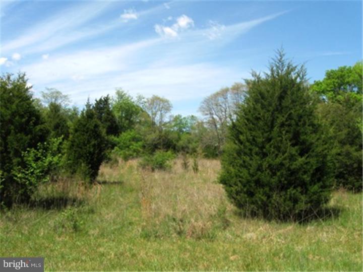 L 9-03 Williams Road Woodstown, NJ 08098 - Photo 2 of 4