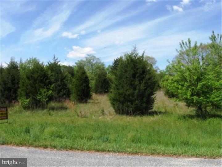 L 9-03 Williams Road Woodstown, NJ 08098 - Photo 3 of 4