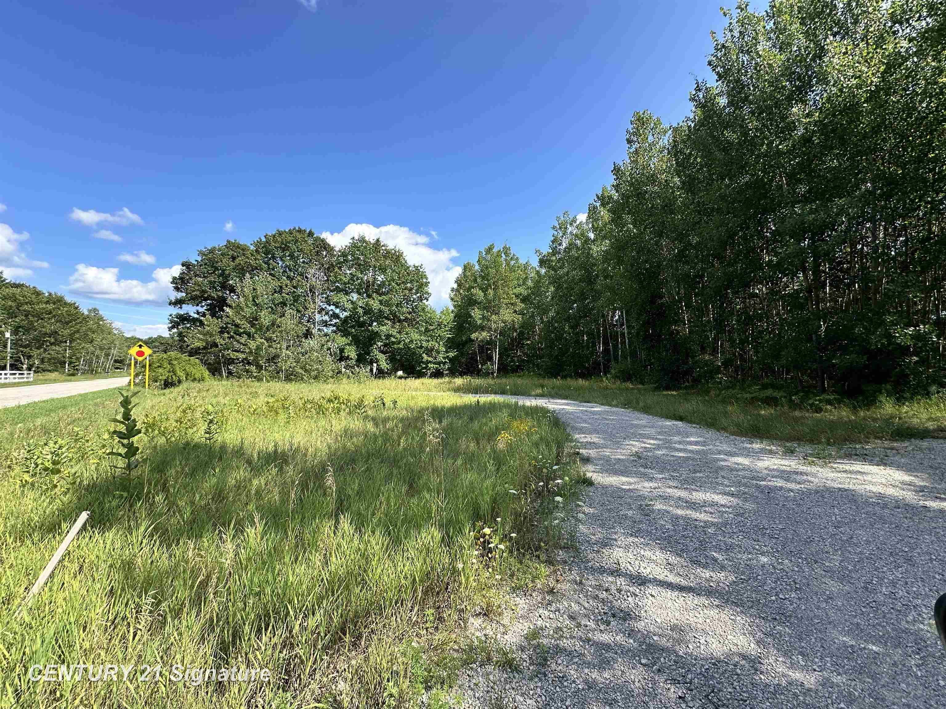 Vl West School Road Mount Pleasant, MI 48858 - Photo 2 of 10