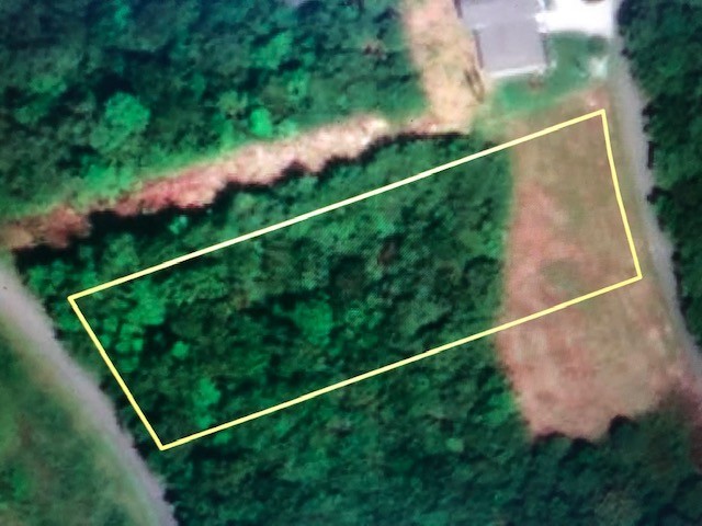 0 Turtle Point Lane Waverly, TN 37185 - Photo 11 of 17 a view of a yard