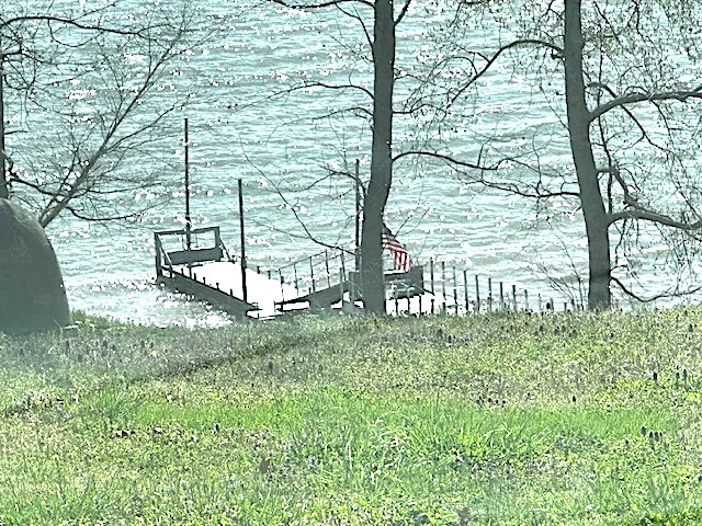0 Turtle Point Lane Waverly, TN 37185 - Photo 15 of 17 a view of a yard with plants and large trees
