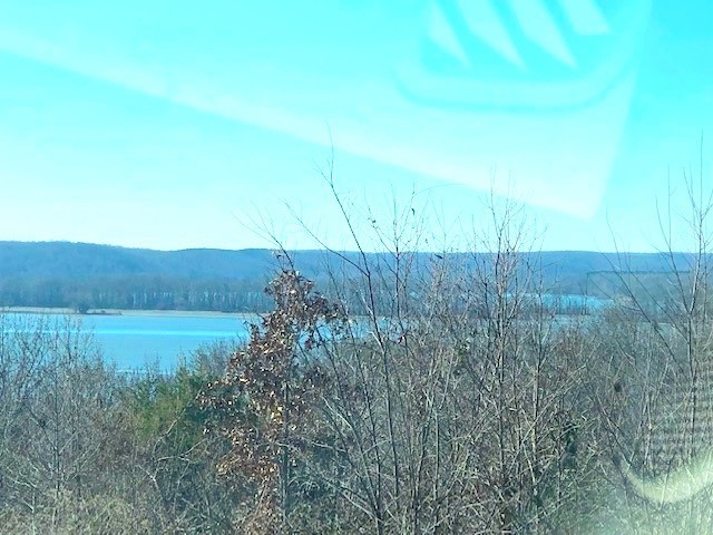 0 Turtle Point Lane Waverly, TN 37185 - Photo 4 of 17 a view of a field of grass and trees