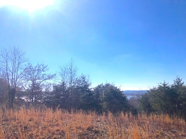 0 Turtle Point Lane Waverly, TN 37185 - Photo 5 of 17 a view of mountain with lake view