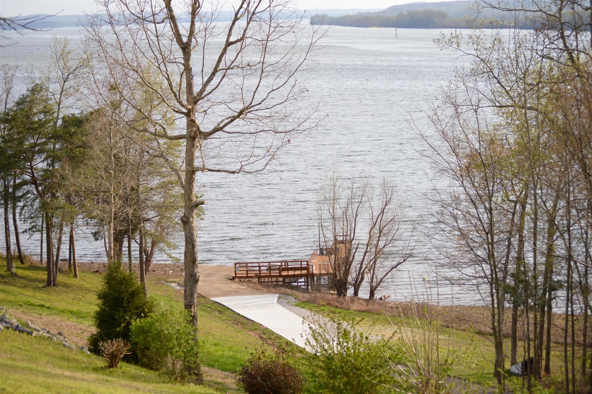0 Turtle Point Lane Waverly, TN 37185 - Photo 6 of 17 a view of a yard with large trees