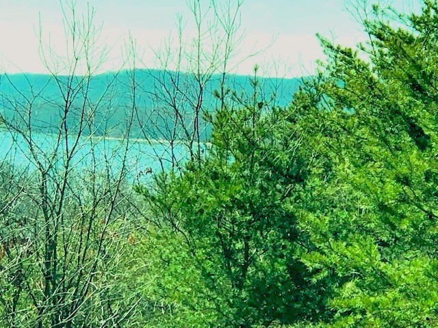 0 Turtle Point Lane Waverly, TN 37185 - Photo 9 of 17 a view of a garden