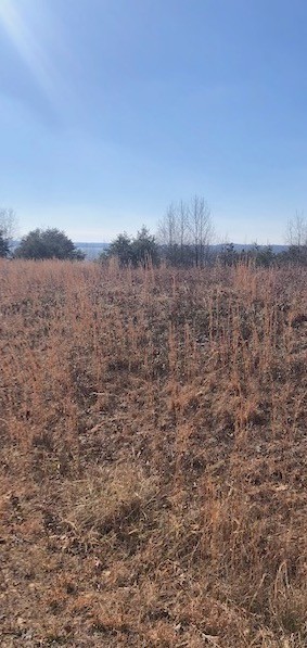0 Turtle Point Lane Waverly, TN 37185 - Photo 10 of 17 a view of a lake