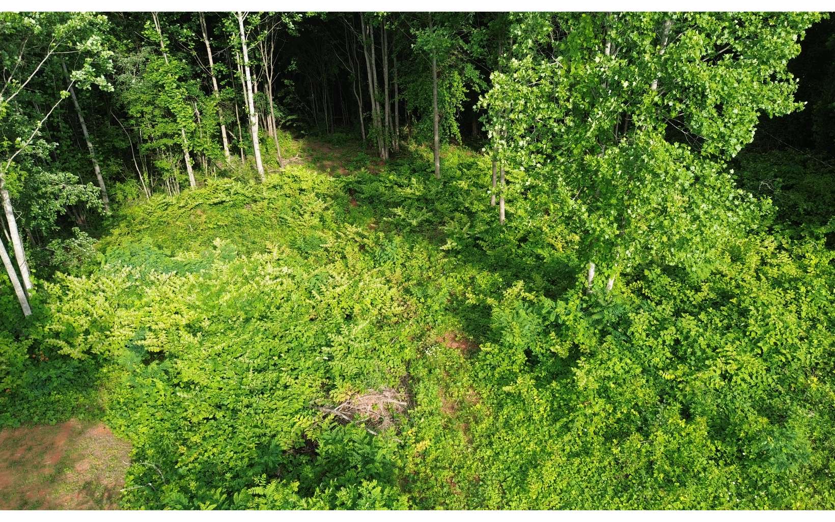 1.2-lot Cole Road Copperhill, TN 37317 - Photo 24 of 37 Additional View