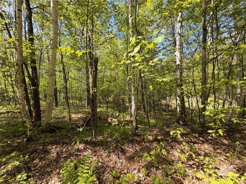 Lot 4 Peterson Road Foxboro, WI 54836 - Photo 7 of 11