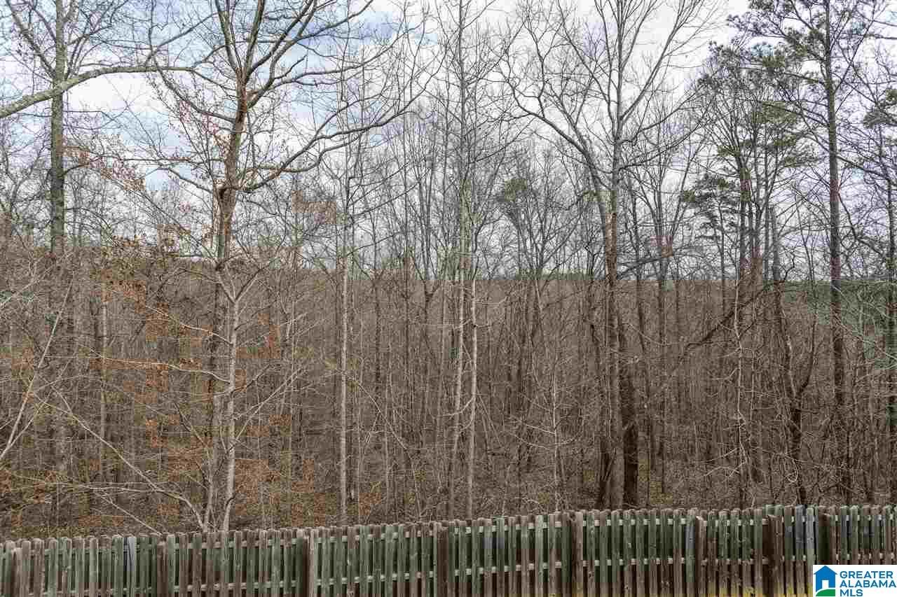 340 Quail Ridge Road Odenville, AL 35120 - Photo 7 of 38
