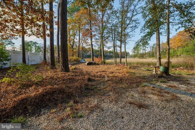 a view of a yard with plants and trees
