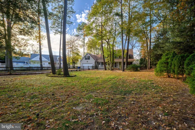 a view of yard with tree
