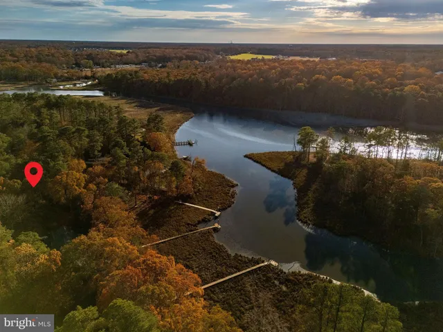 a view of a house with a yard and plants