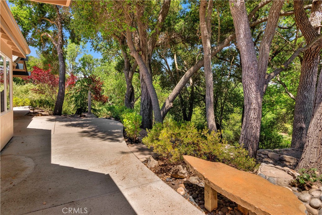 117 Frontier Way Templeton, CA 93465 - Photo 50 of 57 a view of a street with potted plants and large trees