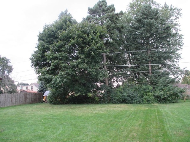 448 Hubbard Avenue Elgin, IL 60123 - Photo 16 of 16