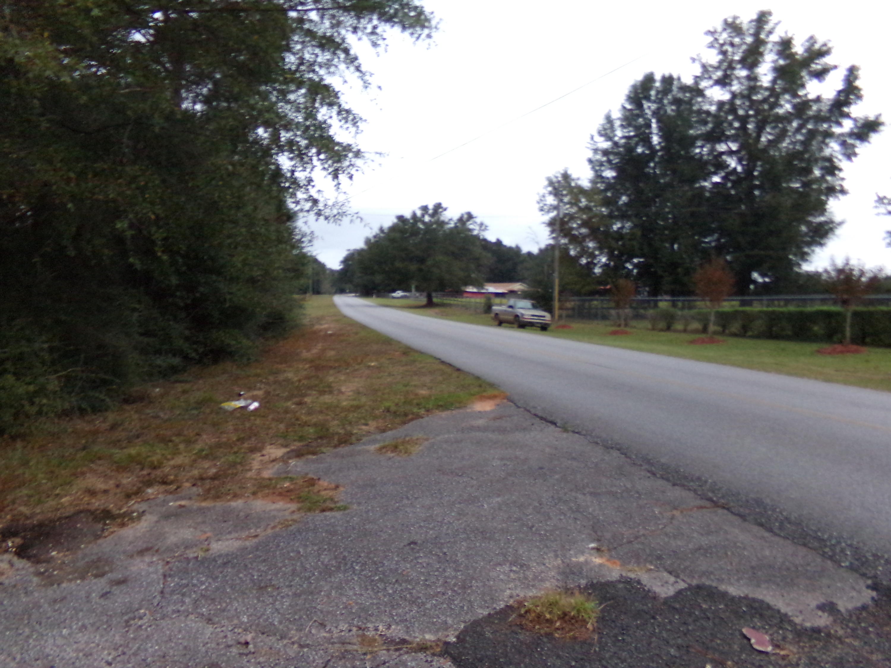 5622 Buckward Road Baker, FL 32531 - Photo 11 of 11 a view of road with large trees