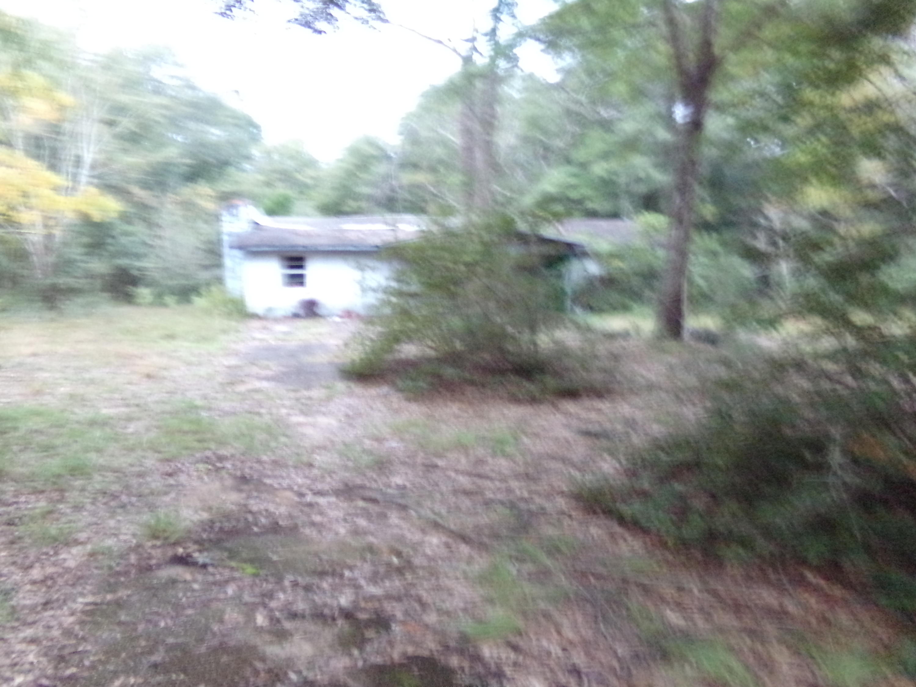 5622 Buckward Road Baker, FL 32531 - Photo 9 of 11 a view of a yard