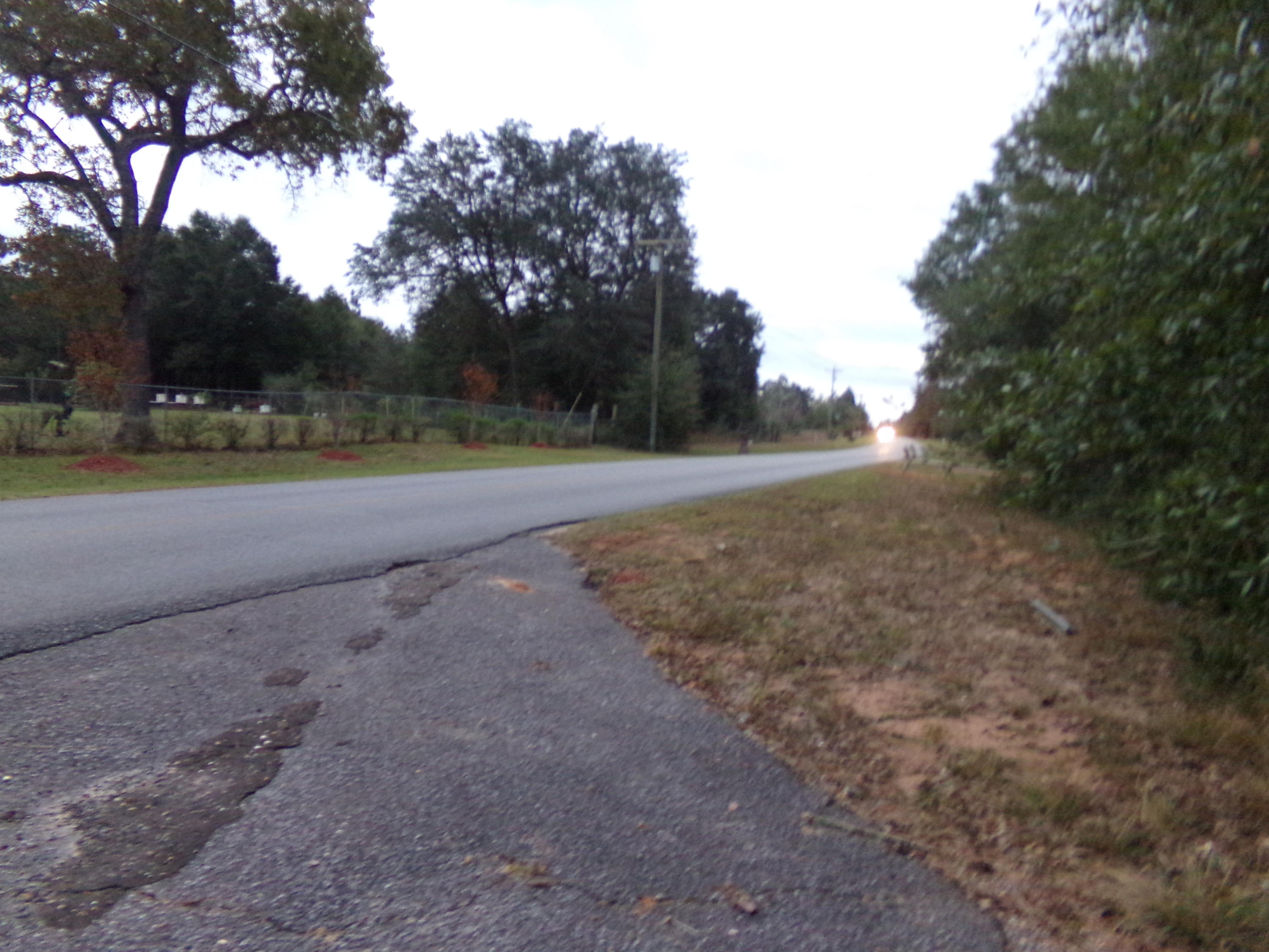 5622 Buckward Road Baker, FL 32531 - Photo 10 of 11 a view of a yard with large trees
