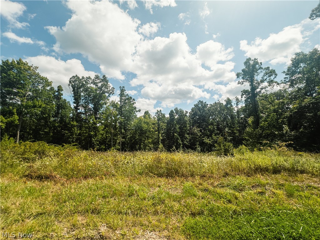 Taylor Road Dennison, OH 44621 - Photo 36 of 48 Gallery Image 36