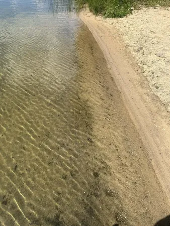 $589,000 | 11760 Fantasy Drive, Frederic, MI 49733