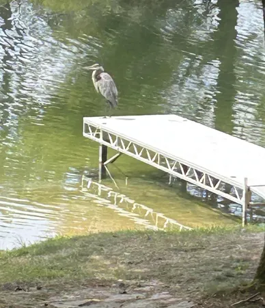 $589,000 | 11760 Fantasy Drive, Frederic, MI 49733