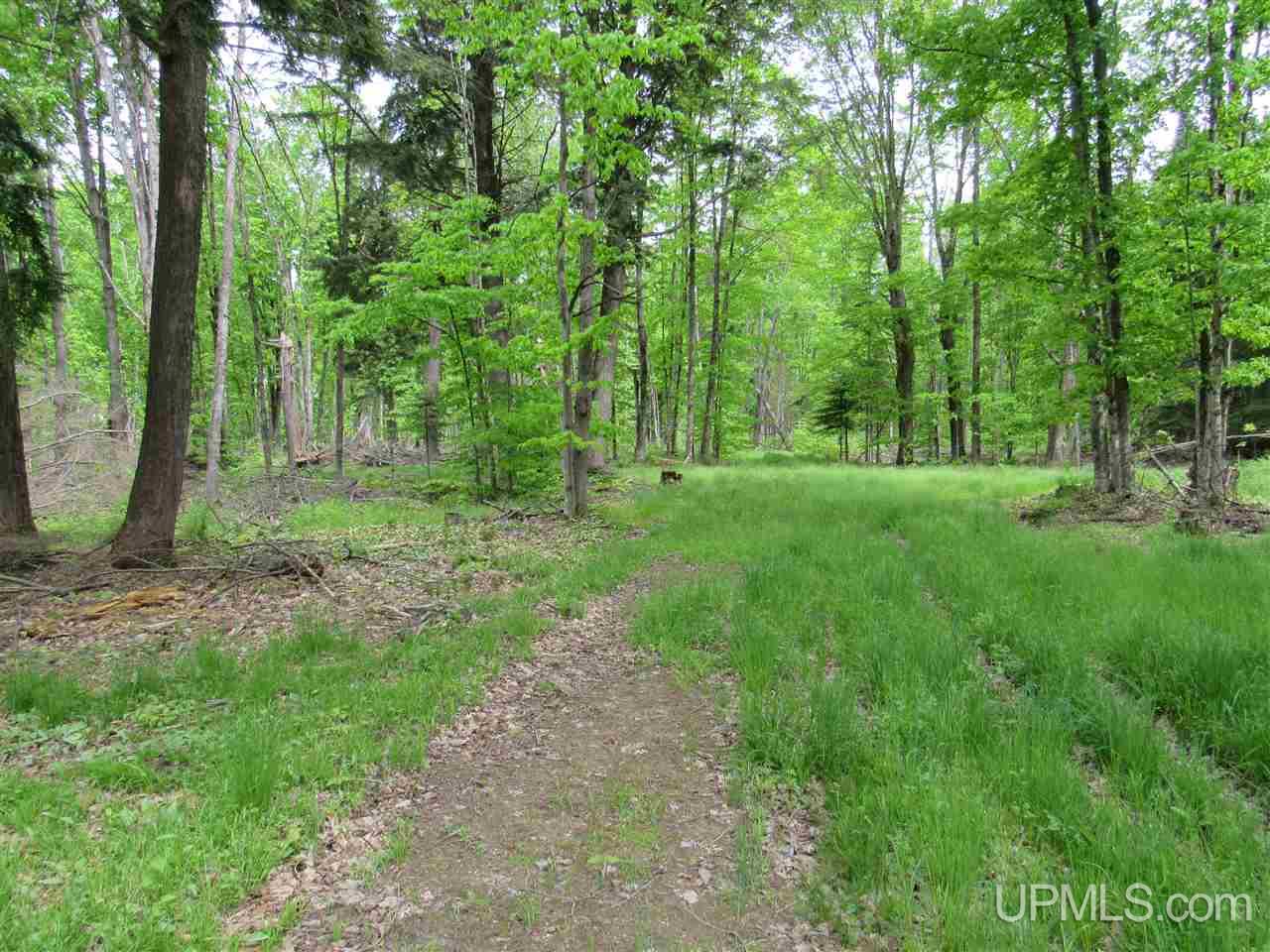 Tbd Co Rd 442, Unit 4 Rapid River, MI 49878 - Photo 10 of 10