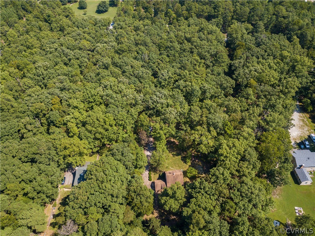 7210 Ledo Road Moseley, VA 23120 - Photo 26 of 27 a view of a forest with a tree