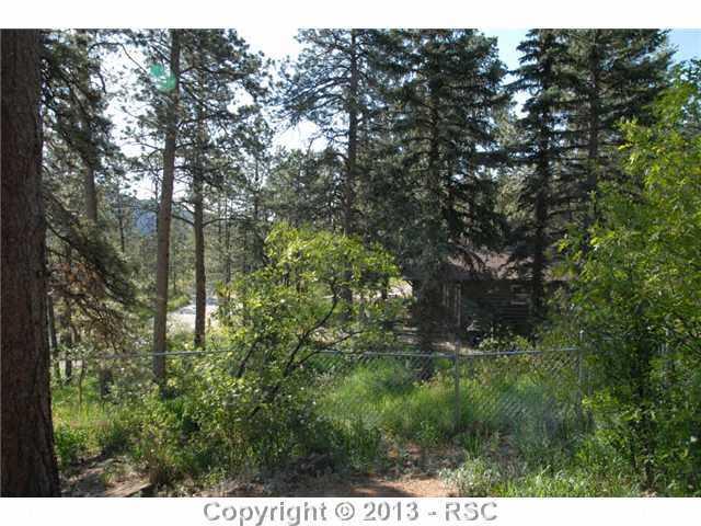 9045 Ute Road Cascade, CO 80809 - Photo 24 of 25