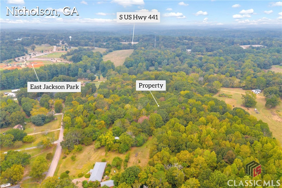 0 Cedar Nicholson, GA 30565 - Photo 4 of 17