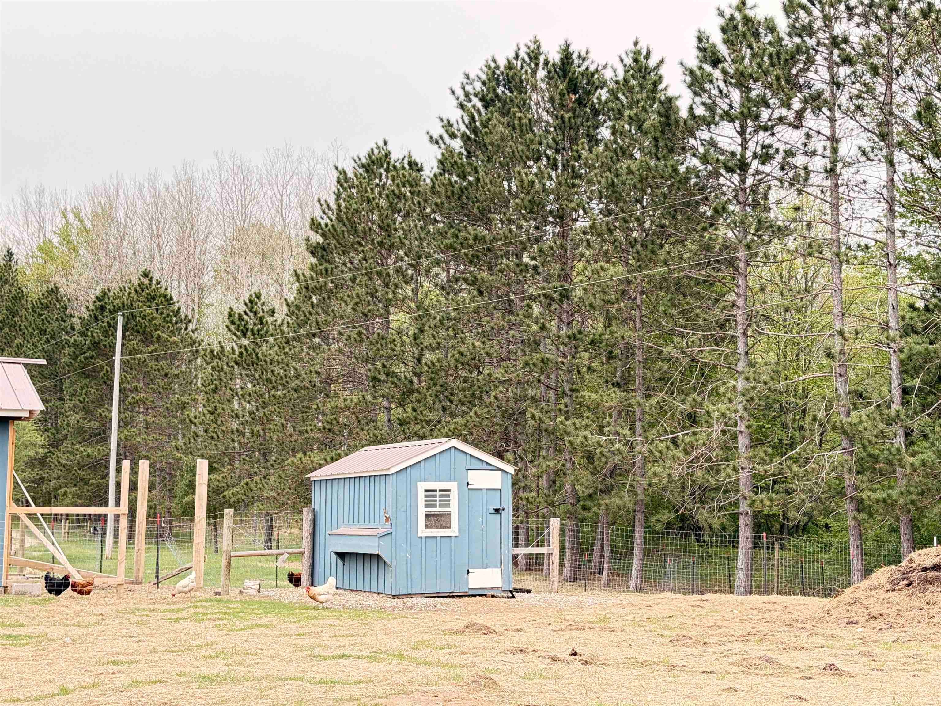 4450 Adams Road Lake, MI 48632 - Photo 54 of 67 Gallery Image 54