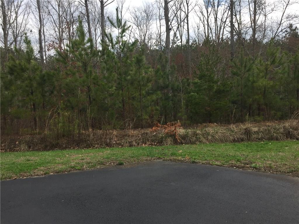 1010 Knight Bottom Road Southeast Fairmount, GA 30139 - Photo 13 of 31