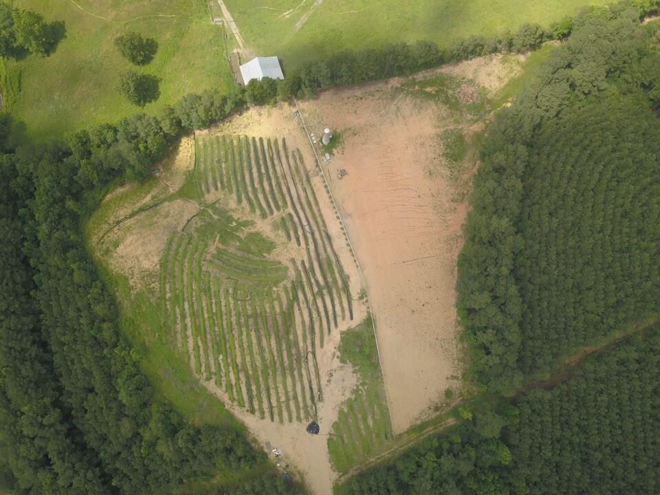 1010 Knight Bottom Road Southeast Fairmount, GA 30139 - Photo 16 of 31