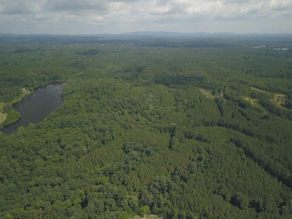 1010 Knight Bottom Road Southeast Fairmount, GA 30139 - Photo 21 of 31