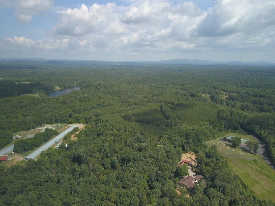 1010 Knight Bottom Road Southeast Fairmount, GA 30139 - Photo 22 of 31