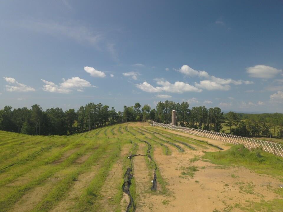 1010 Knight Bottom Road Southeast Fairmount, GA 30139 - Photo 28 of 31