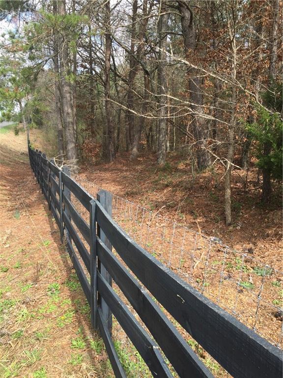 1010 Knight Bottom Road Southeast Fairmount, GA 30139 - Photo 6 of 31