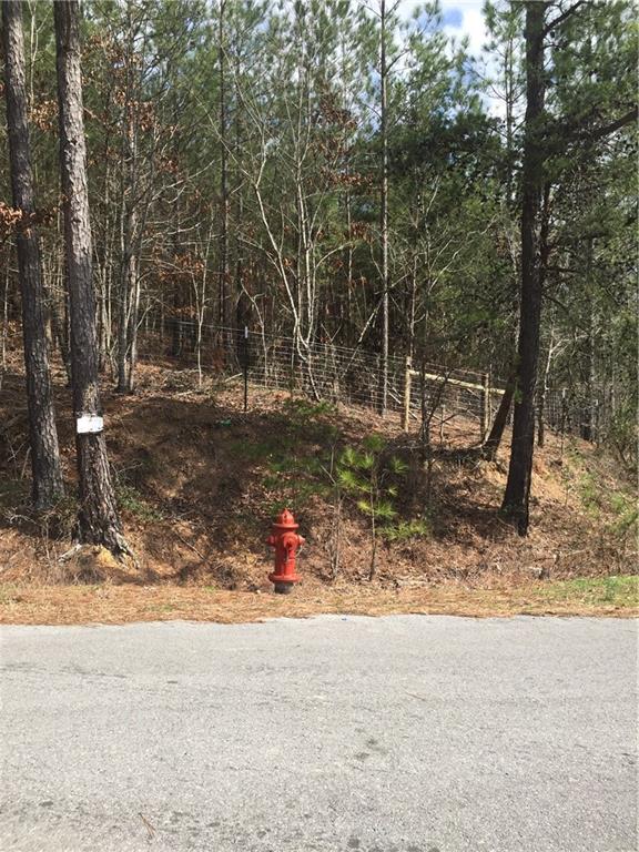 1010 Knight Bottom Road Southeast Fairmount, GA 30139 - Photo 9 of 31