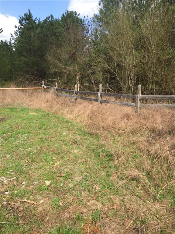 1010 Knight Bottom Road Southeast Fairmount, GA 30139 - Photo 10 of 31