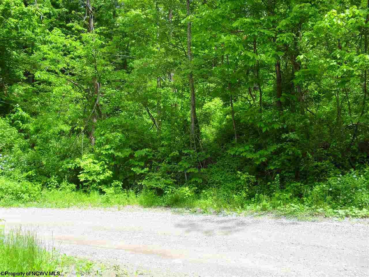 East Run Road Mannington, WV 26582 - Photo 4 of 4 Gallery Image 4