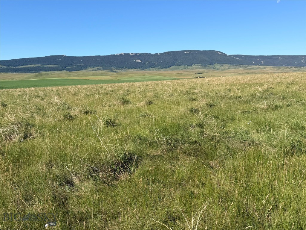 Tbd U Bet Road Buffalo, MT 59418 - Photo 14 of 30 Gallery Image 14
