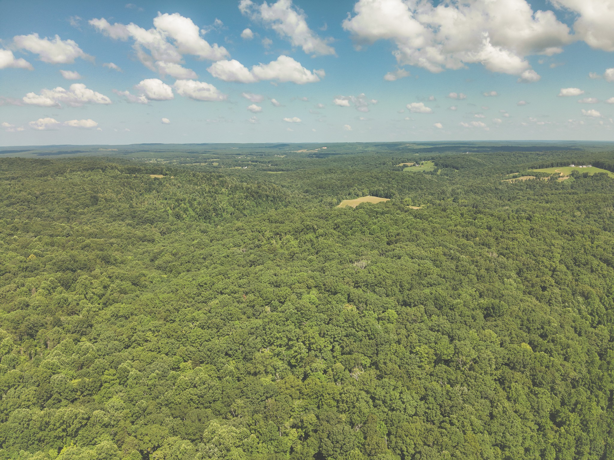 0 Grapevine Road Crossville, TN 38572 - Photo 27 of 57 Gallery Image 27