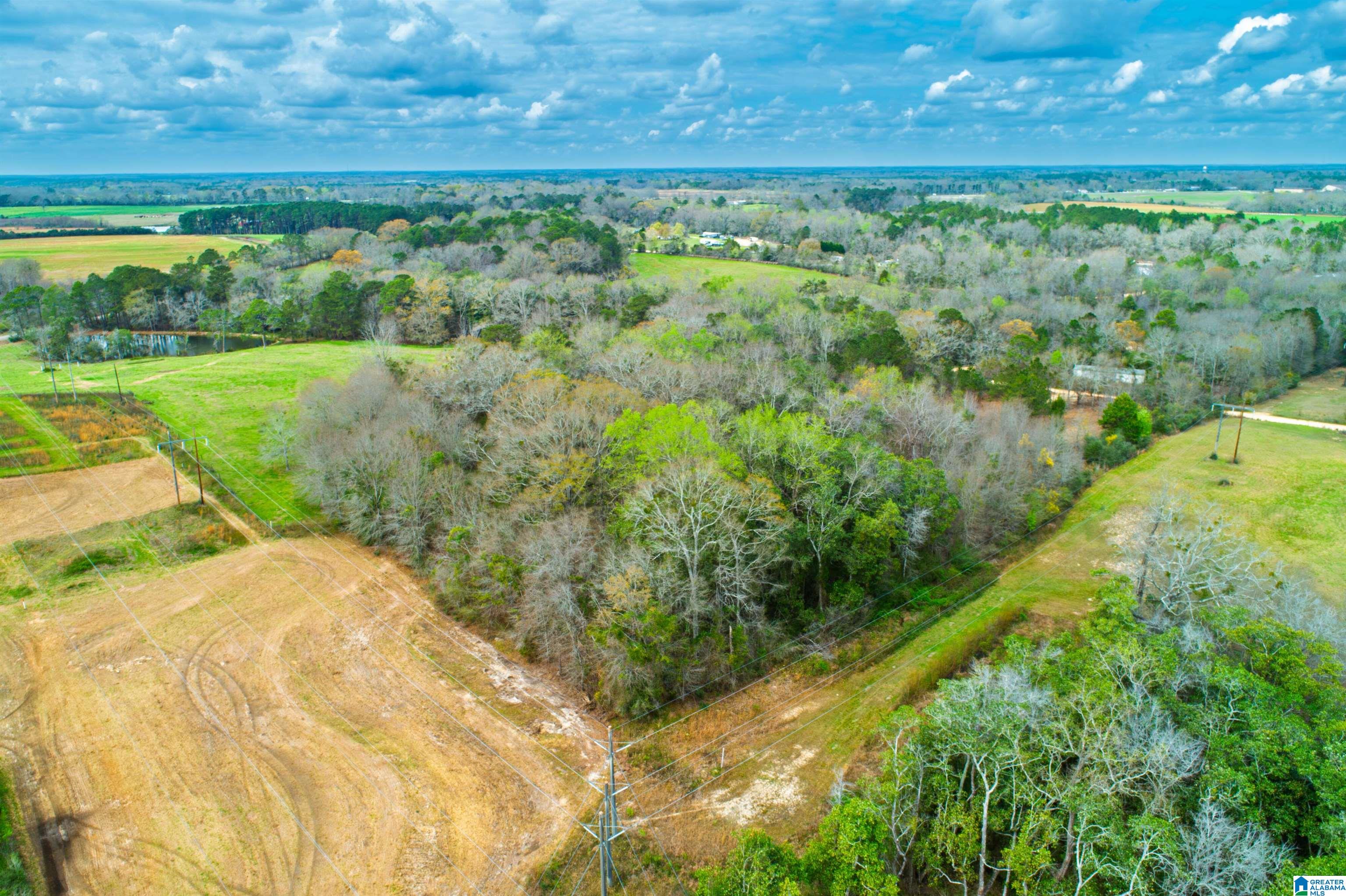 27180 Deer Run Road Opp, AL 36467 - Photo 9 of 60