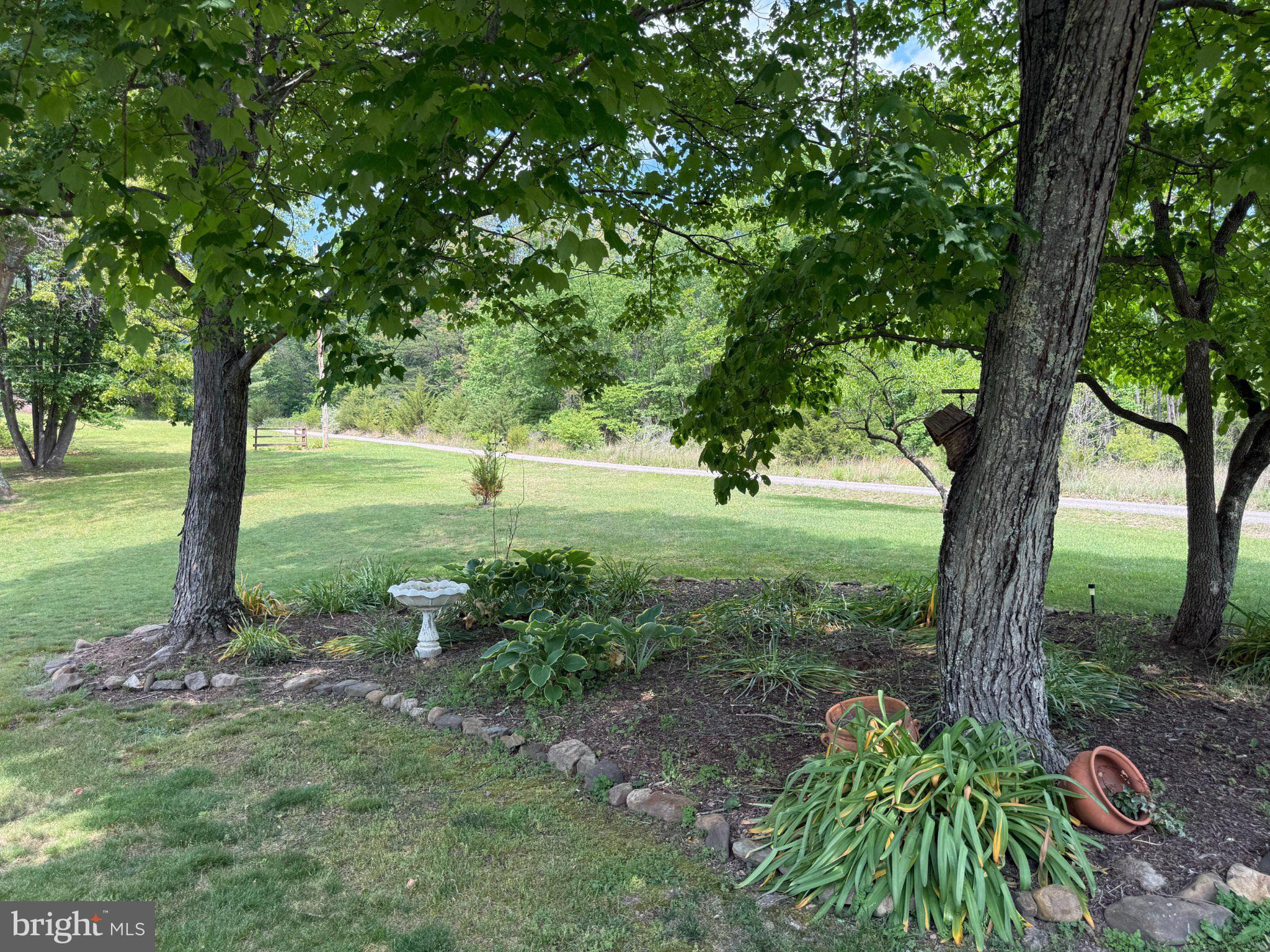 575 North River Highlands Road Delray, WV 26714 - Photo 6 of 8 Beautiful front yard with road frontage.
