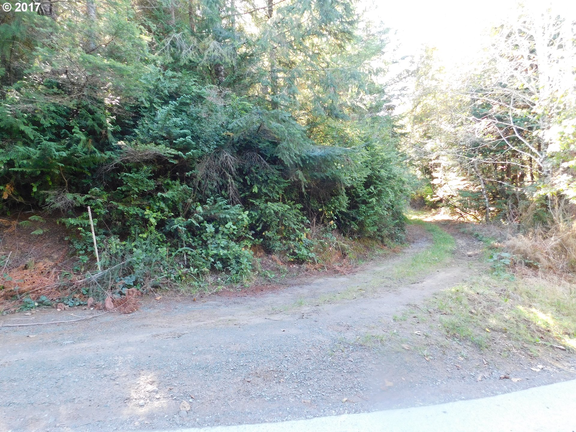 53222 Tatum Lynn Road Bandon, OR 97411 - Photo 12 of 20 Property Entrance