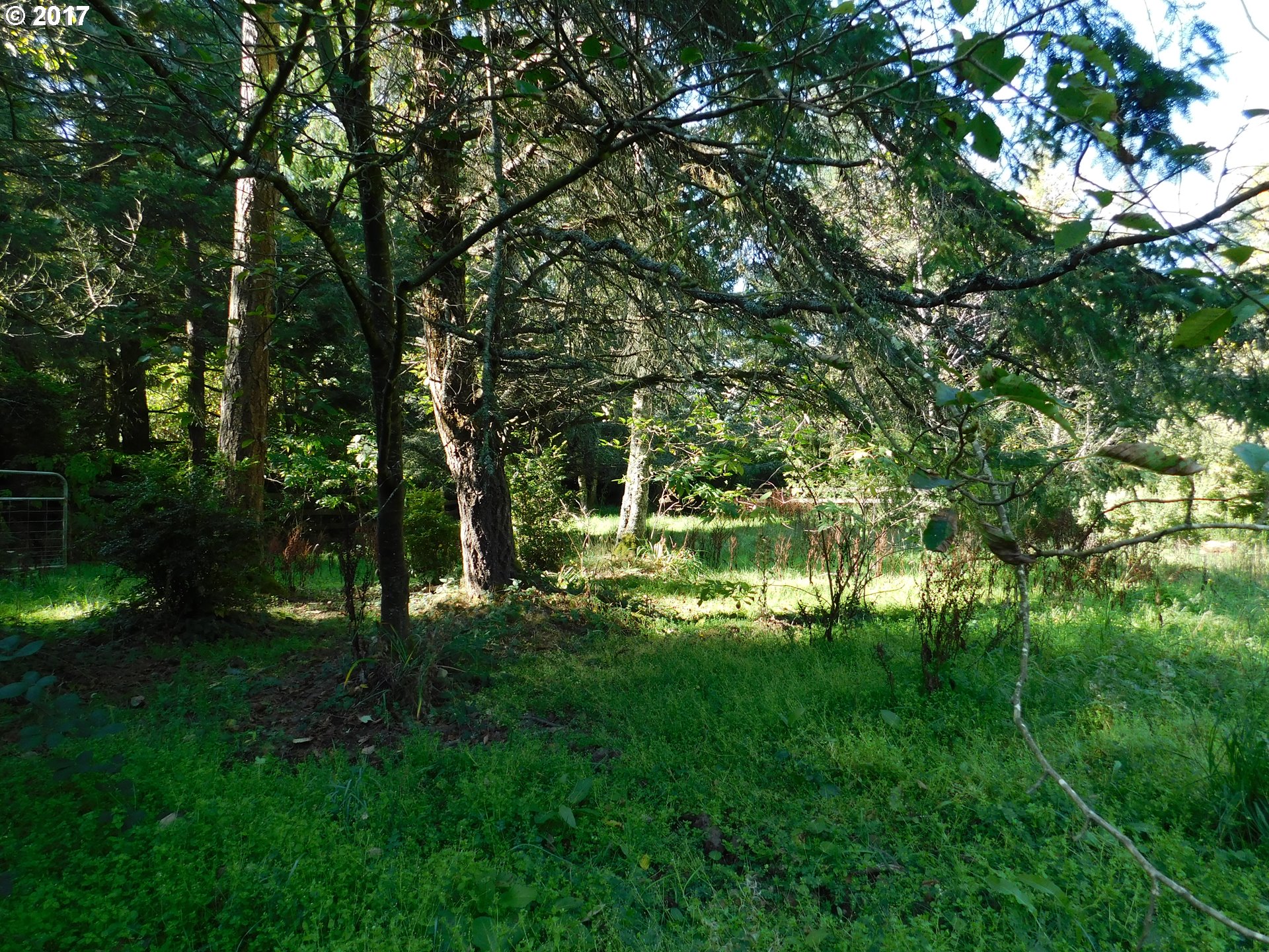 53222 Tatum Lynn Road Bandon, OR 97411 - Photo 2 of 20 Pasture