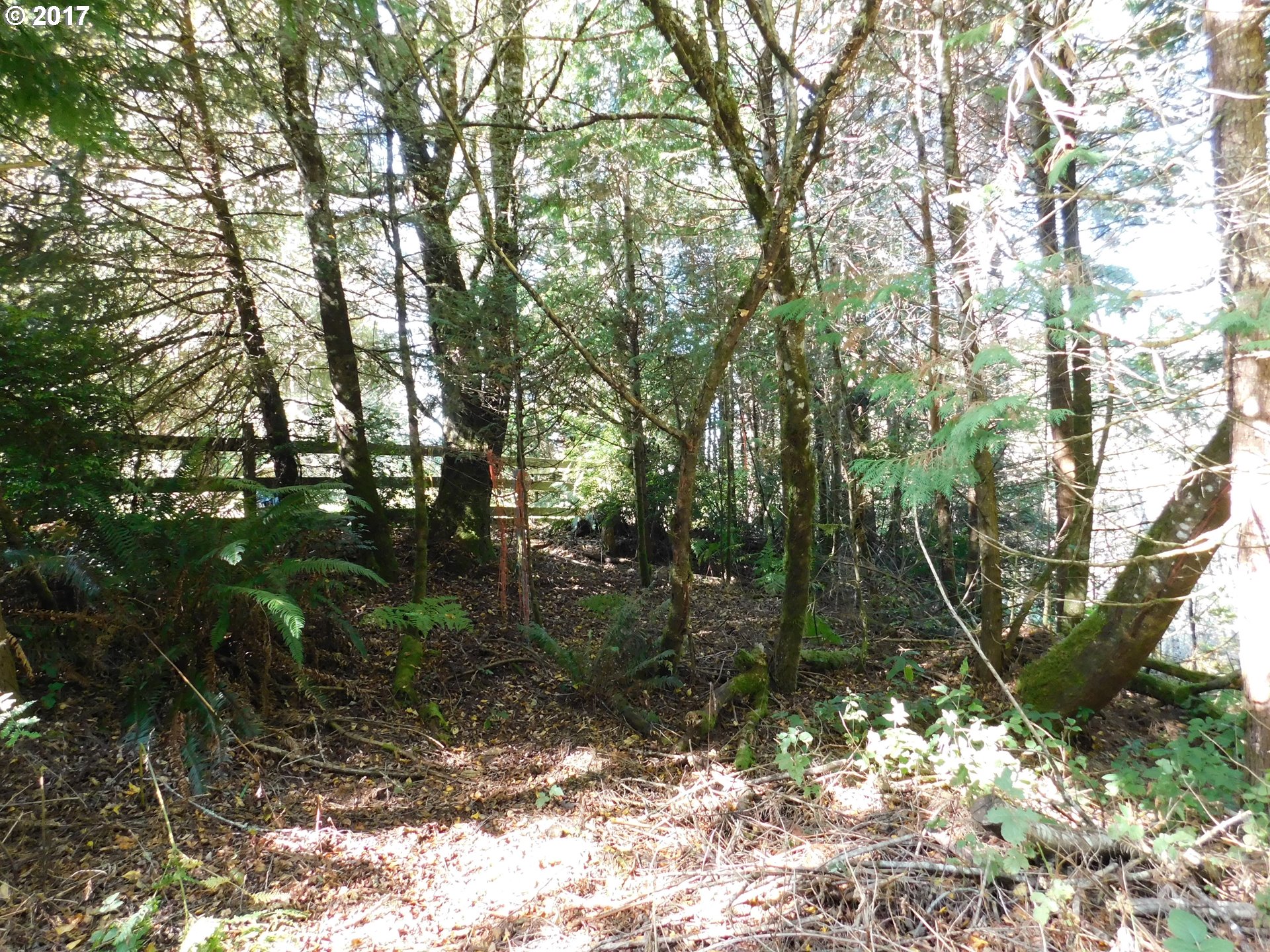 53222 Tatum Lynn Road Bandon, OR 97411 - Photo 3 of 20 Gallery Image 3