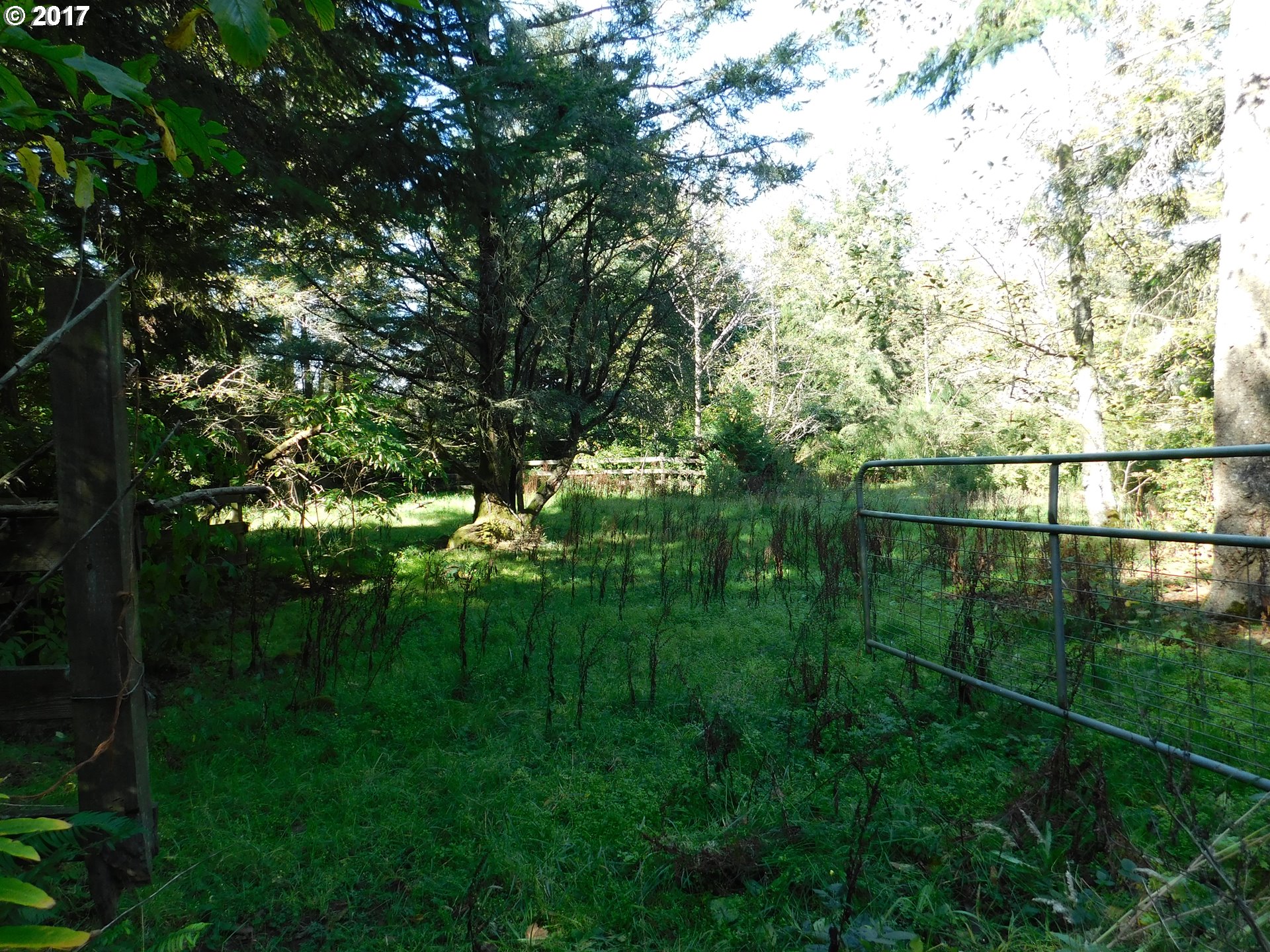 53222 Tatum Lynn Road Bandon, OR 97411 - Photo 7 of 20 Gallery Image 7