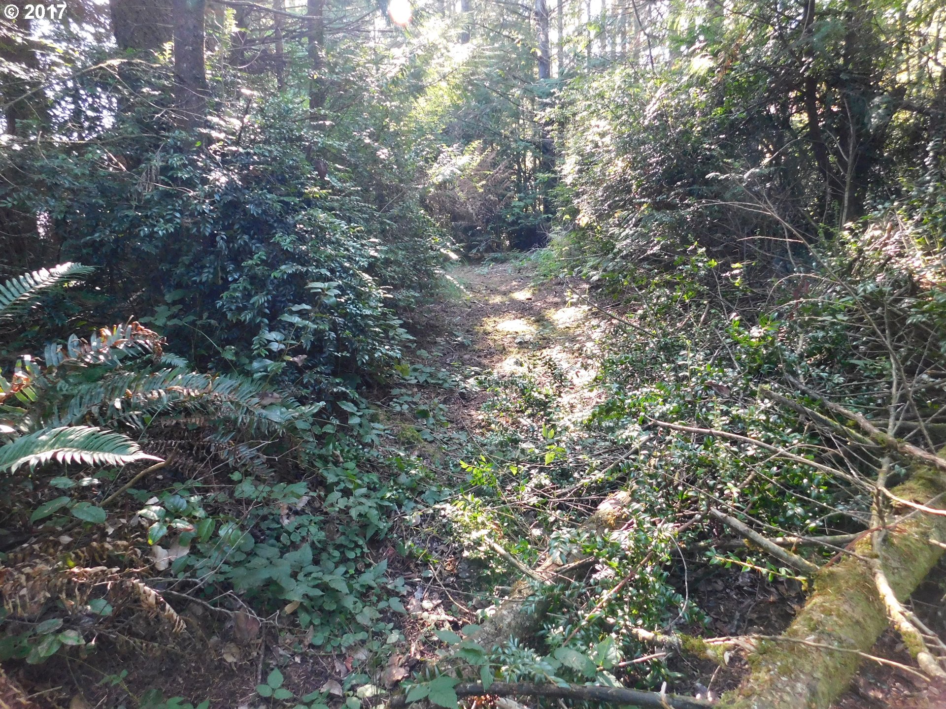 53222 Tatum Lynn Road Bandon, OR 97411 - Photo 10 of 20 Gallery Image 10