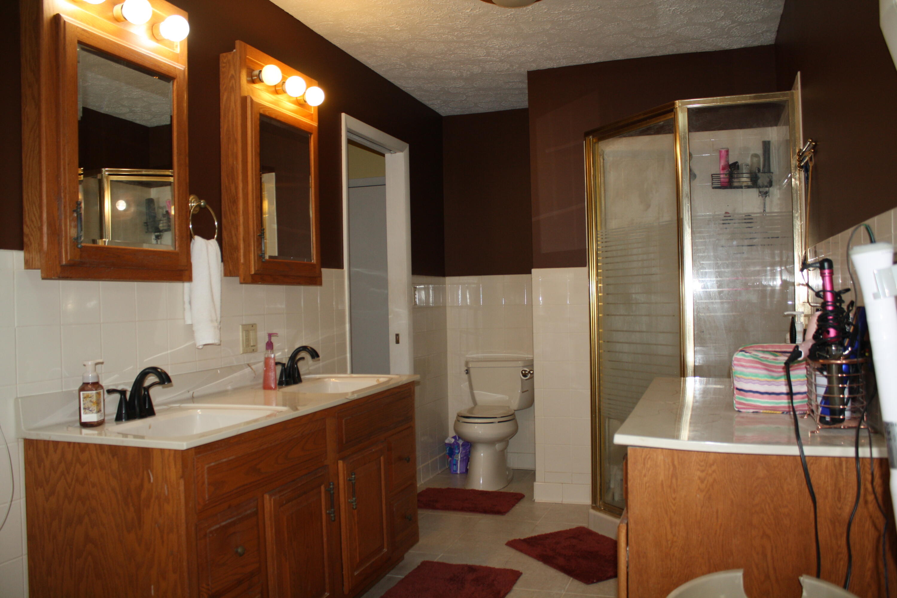 62 Howards Branch Road Hinton, WV 25951 - Photo 36 of 53 Master Bath