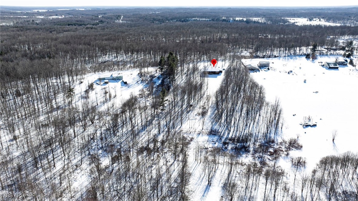 282 South Ridge Road West Conneaut, OH 44030 - Photo 46 of 49 View of snowy aerial view