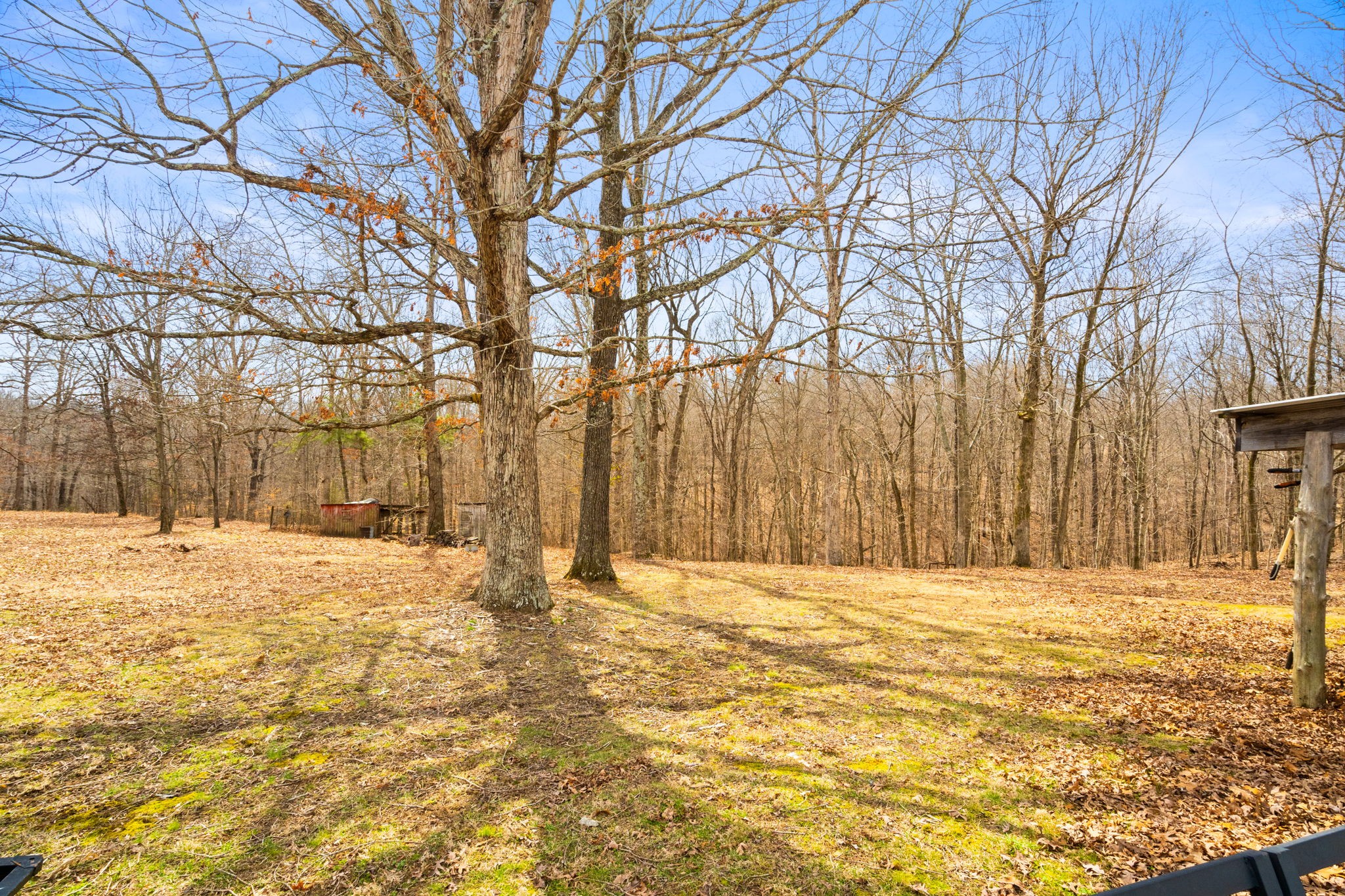 1251 South Dividing Ridge Road Goodlettsville, TN 37072 - Photo 17 of 21